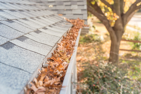 Gutter Cleaning Clackamas OR