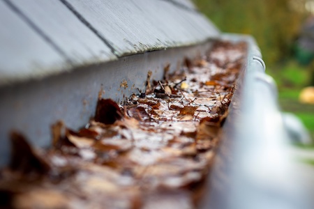 Gutter Cleaning Lake Oswego OR