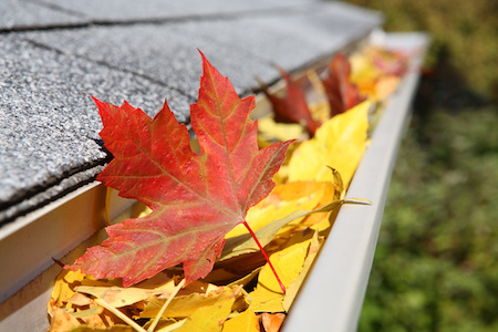 Gutter Cleaning Oregon City OR