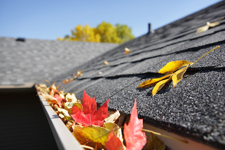 Gutter Cleaning Milwaukie OR