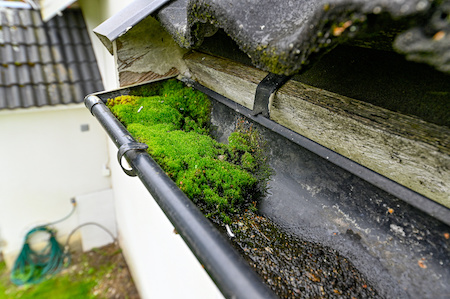Gutter Cleaning West Linn OR