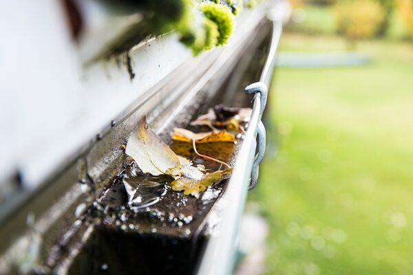 Gutter Cleaning Near Me Lake Oswego OR