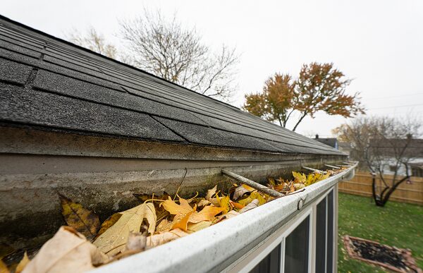 gutter cleaning near me portland or