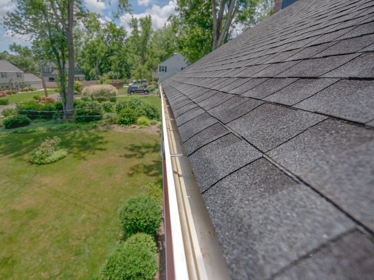 Gutter Cleaning Services Near Me