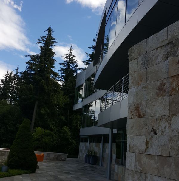 Professional Window Cleaning